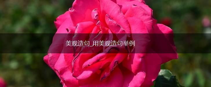 美观造句_用美观造句举例,第1张