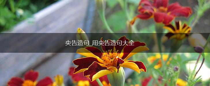 央告造句_用央告造句大全,第1张 央告造句_用央告造句大全,第1张