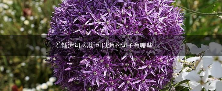 羞惭造句 羞惭可以造的句子有哪些,第1张 羞惭造句 羞惭可以造的句子有哪些,第1张