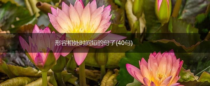 形容相处时间短的句子(40句),第1张