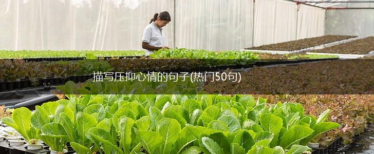 描写压抑心情的句子(热门50句),第1张