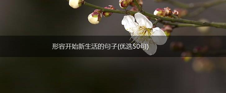 形容开始新生活的句子(优选50句),第1张