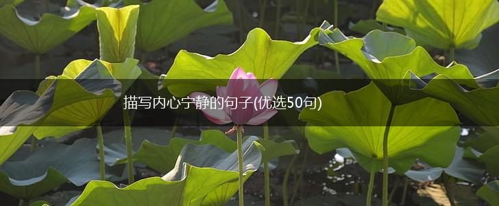 描写内心宁静的句子(优选50句),第1张