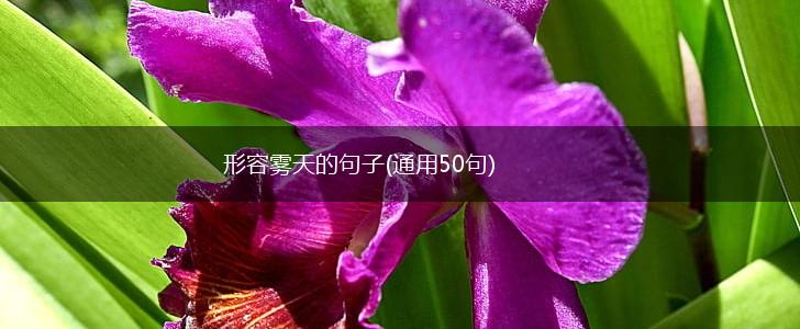 形容雾天的句子(通用50句),第1张