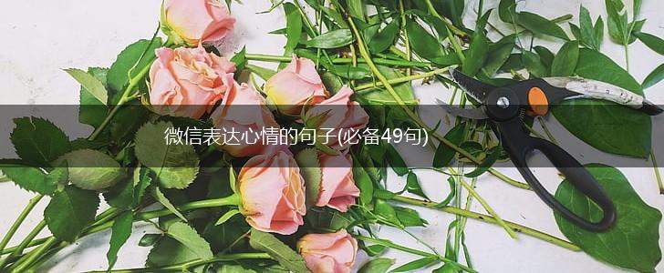 微信表达心情的句子(必备49句),第1张