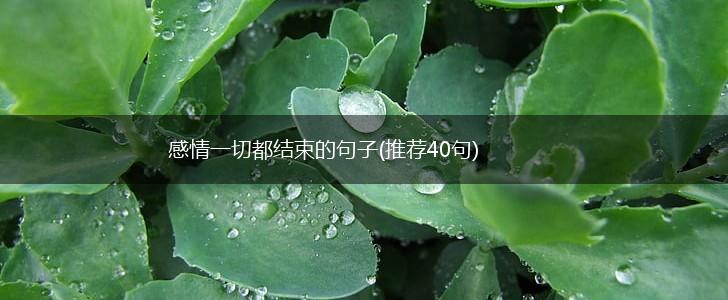 感情一切都结束的句子(推荐40句),第1张