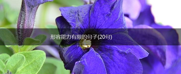 形容能力有限的句子(20句),第1张