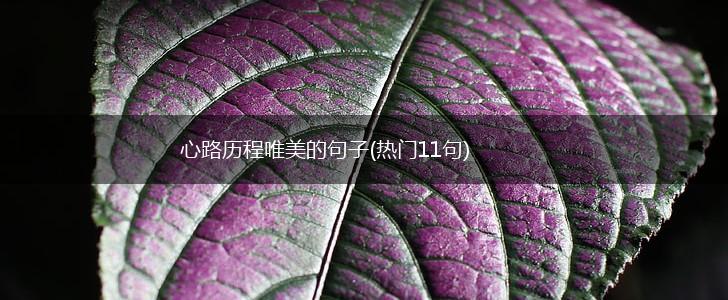 心路历程唯美的句子(热门11句),第1张