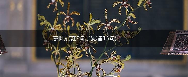 感慨无奈的句子(必备15句),第1张