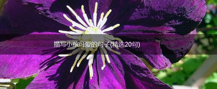 描写小孩可爱的句子(精选20句),第1张
