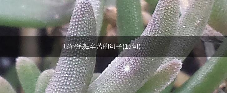 形容练舞辛苦的句子(15句),第1张