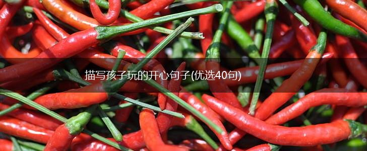 描写孩子玩的开心句子(优选40句),第1张