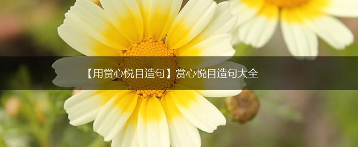 【用赏心悦目造句】赏心悦目造句大全,第1张 【用赏心悦目造句】赏心悦目造句大全,第1张