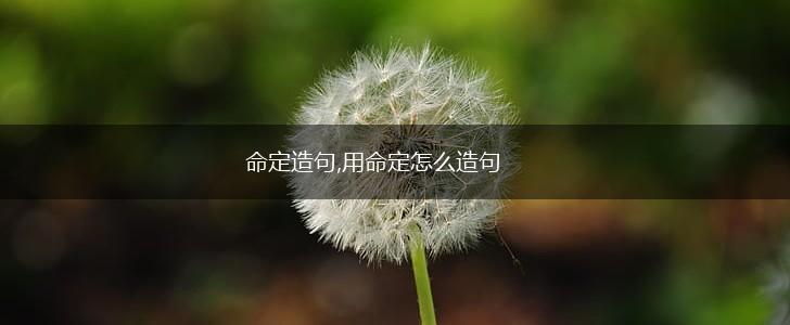 命定造句,用命定怎么造句,第1张 命定造句,用命定怎么造句,第1张