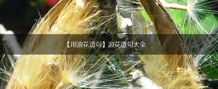 【用浪花造句】浪花造句大全,第1张 【用浪花造句】浪花造句大全,第1张