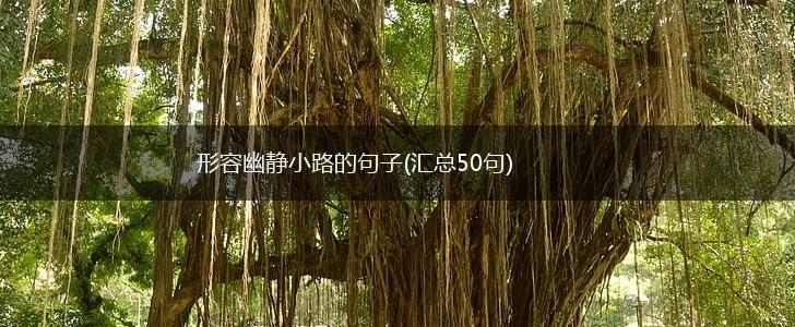 形容幽静小路的句子(汇总50句),第1张