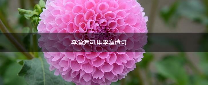 李渔造句,用李渔造句,第1张 李渔造句,用李渔造句,第1张