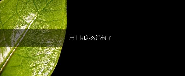 用上切怎么造句子,第1张