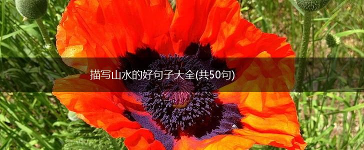 描写山水的好句子大全(共50句),第1张