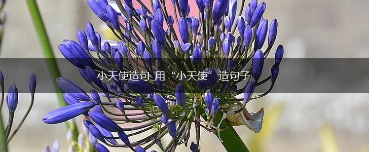 小天使造句_用“小天使”造句子,第1张 小天使造句_用“小天使”造句子,第1张