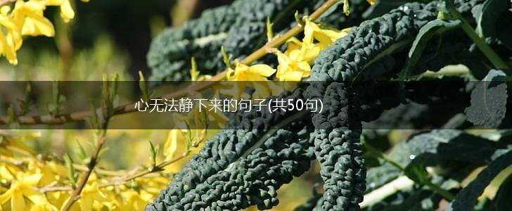 心无法静下来的句子(共50句),第1张