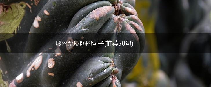 形容跳皮筋的句子(推荐50句),第1张