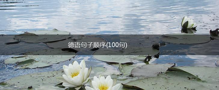 德语句子顺序(100句),第1张
