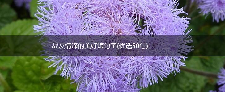 战友情深的美好短句子(优选50句),第1张
