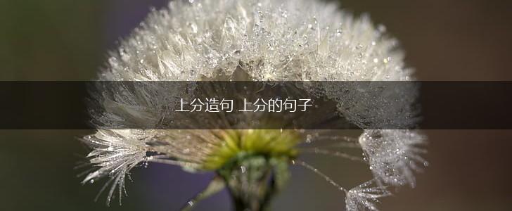 上分造句 上分的句子,第1张 上分造句 上分的句子,第1张