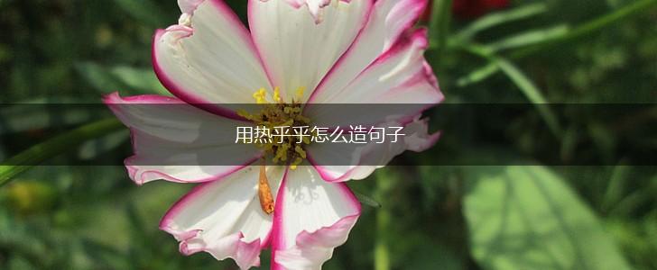 用热乎乎怎么造句子,第1张 用热乎乎怎么造句子,第1张