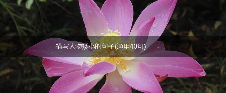 描写人物矮小的句子(通用40句),第1张