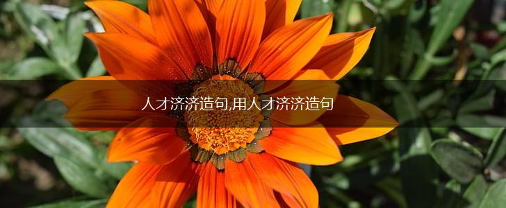 人才济济造句,用人才济济造句,第1张 人才济济造句,用人才济济造句,第1张