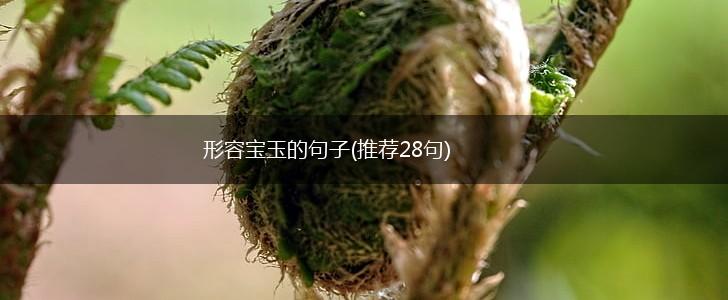 形容宝玉的句子(推荐28句),第1张