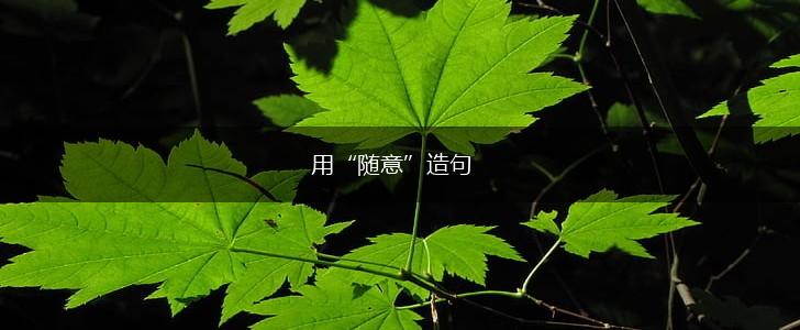 用“随意”造句,第1张 用“随意”造句,第1张