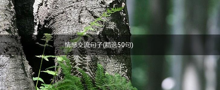 情感交流句子(精选50句),第1张