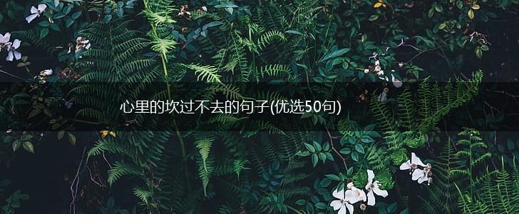 心里的坎过不去的句子(优选50句),第1张