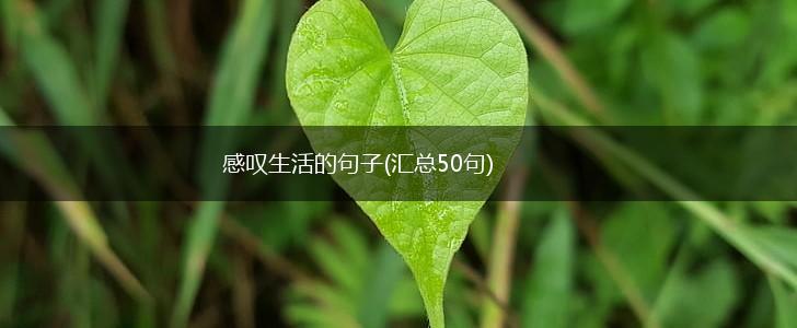 感叹生活的句子(汇总50句),第1张