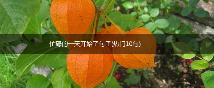 忙碌的一天开始了句子(热门10句),第1张