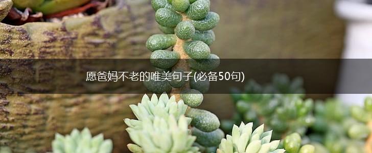 愿爸妈不老的唯美句子(必备50句),第1张