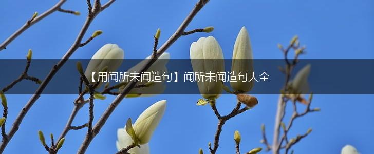 【用闻所未闻造句】闻所未闻造句大全,第1张 【用闻所未闻造句】闻所未闻造句大全,第1张