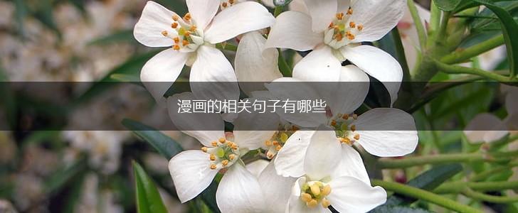 漫画的相关句子有哪些,第1张 漫画的相关句子有哪些,第1张