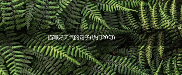 描写好天气的句子(热门20句),第1张