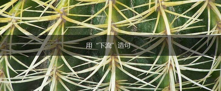 用“下流”造句,第1张 用“下流”造句,第1张