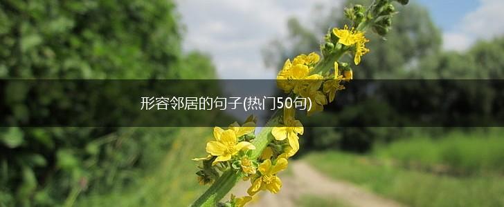 形容邻居的句子(热门50句),第1张