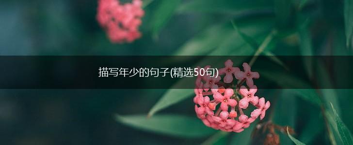 描写年少的句子(精选50句),第1张