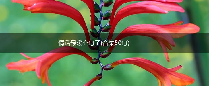 情话最暖心句子(合集50句),第1张