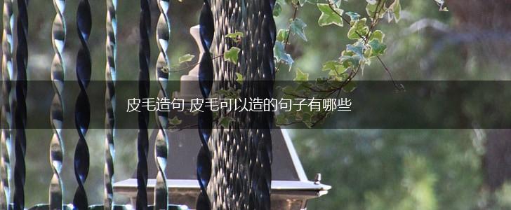 皮毛造句 皮毛可以造的句子有哪些,第1张