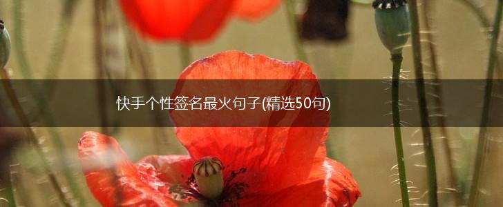 快手个性签名最火句子(精选50句),第1张