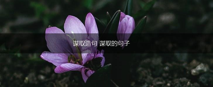谋取造句 谋取的句子,第1张 谋取造句 谋取的句子,第1张