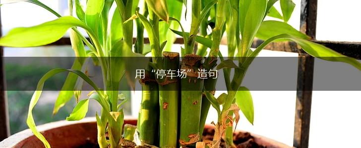 用“停车场”造句,第1张 用“停车场”造句,第1张